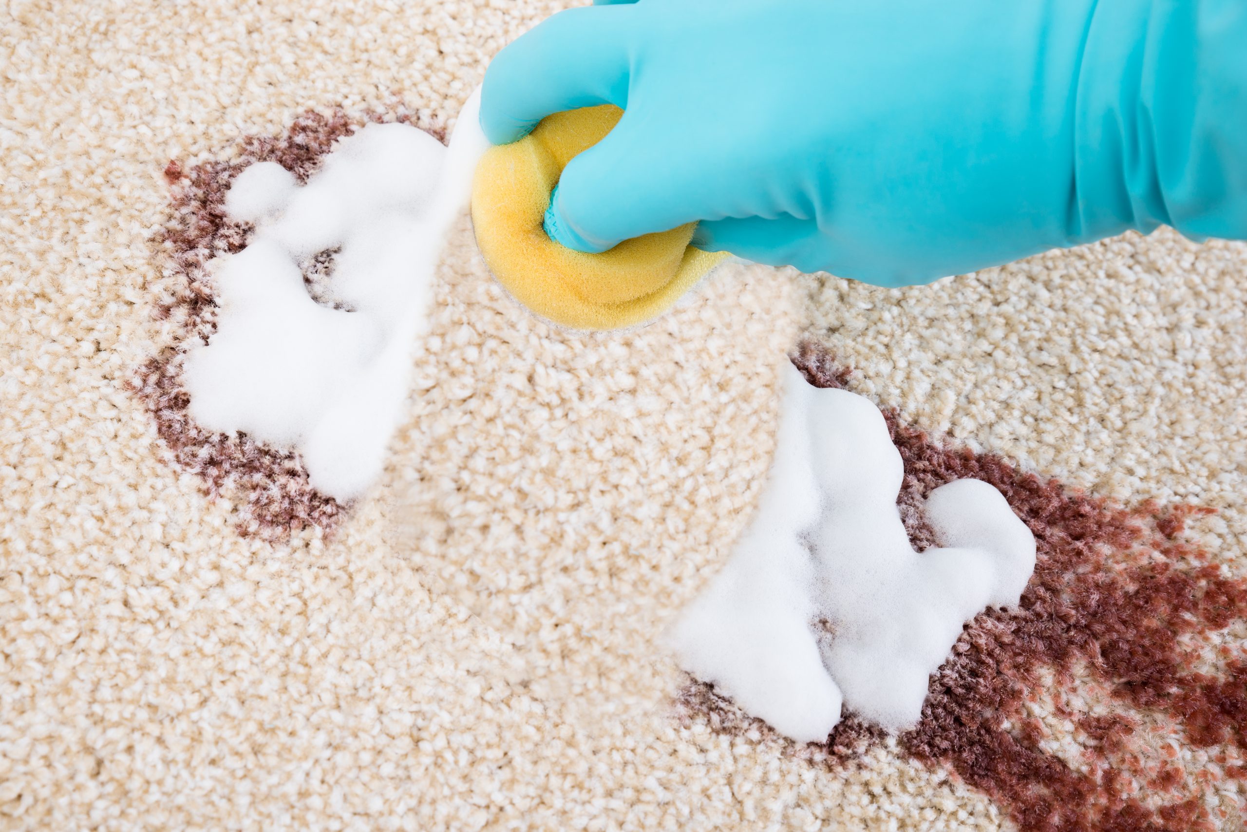Professional Stain Removal Experts on Carpets and Rugs in Australia.